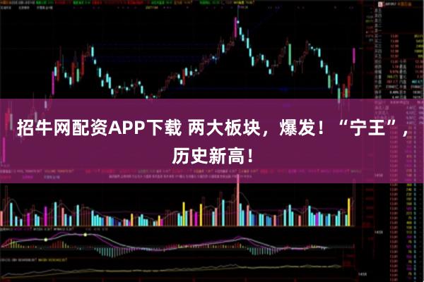 招牛网配资APP下载 两大板块,爆发!“宁王”,历史新高!