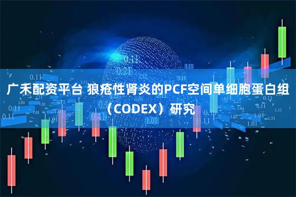 广禾配资平台 狼疮性肾炎的PCF空间单细胞蛋白组(CODEX)研究