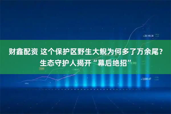 财鑫配资 这个保护区野生大鲵为何多了万余尾？生态守护人揭开“幕后绝招”