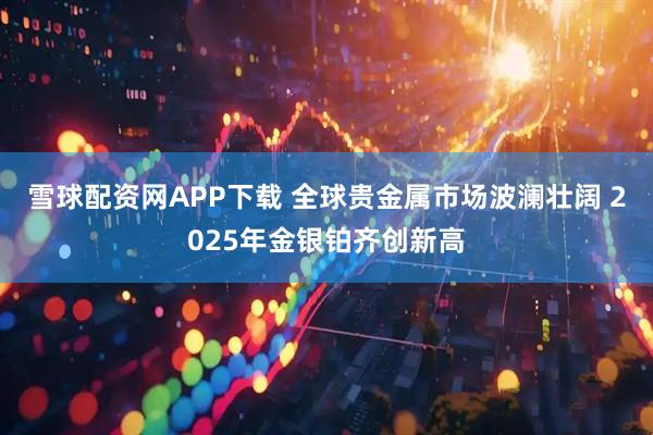 雪球配资网APP下载 全球贵金属市场波澜壮阔 2025年金银铂齐创新高