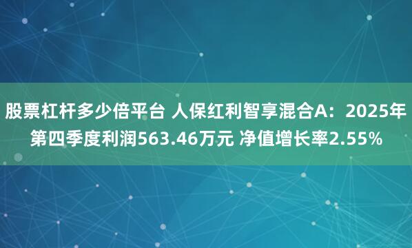 股票杠杆多少倍平台 人保红利智享混合A：2025年第四季度利润563.46万元 净值增长率2.55%