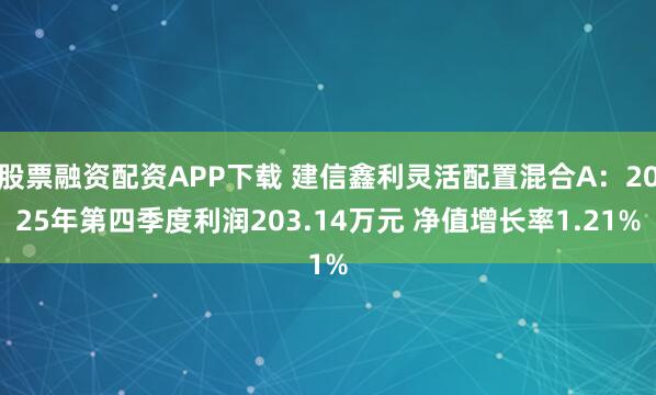 股票融资配资APP下载 建信鑫利灵活配置混合A：2025年第四季度利润203.14万元 净值增长率1.21%